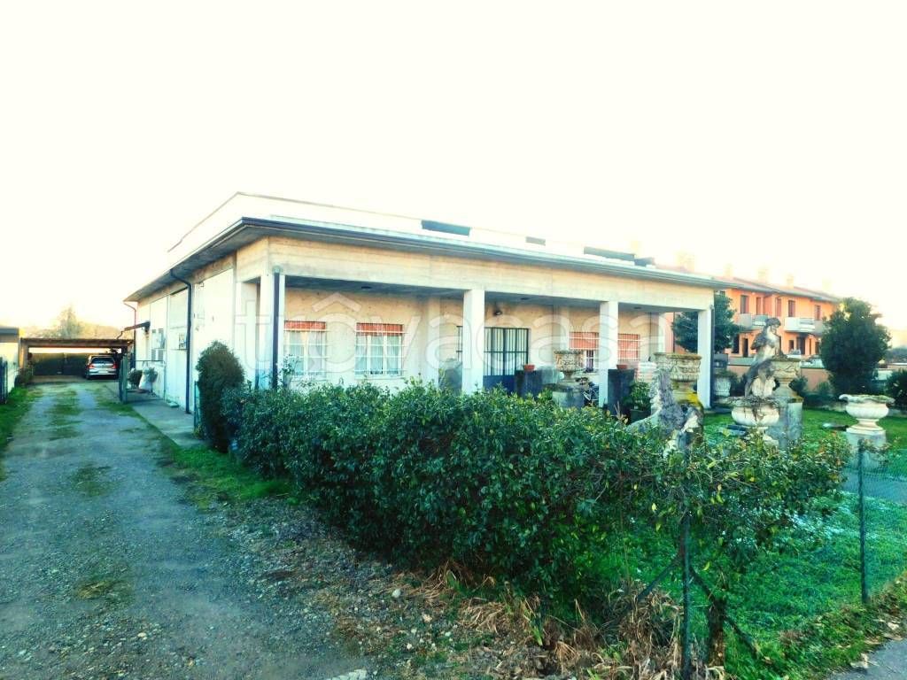 immagine annuncio 3 di 15