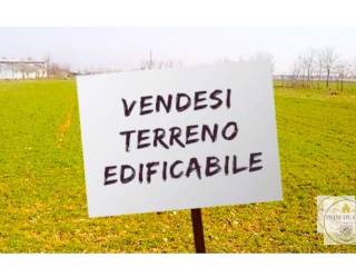 Terreno residenziale in vendita a solesino 