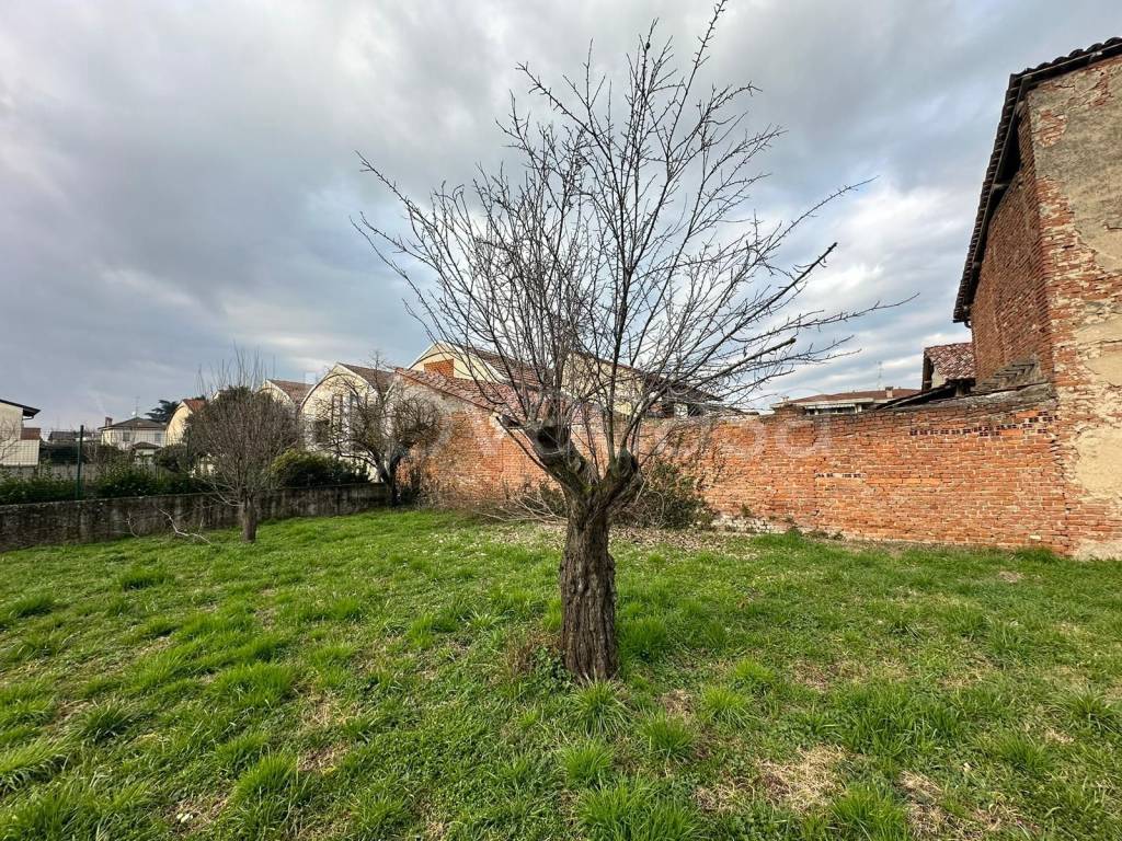 immagine annuncio 8 di 12