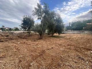 Terreno agricolo in vendita a palermo via villa nave