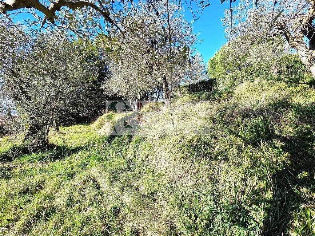 immagine annuncio 1 di 8