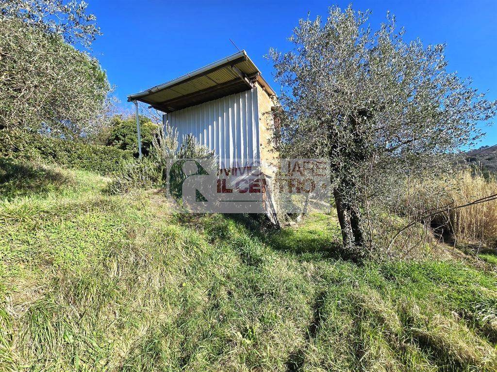 immagine annuncio 2 di 8