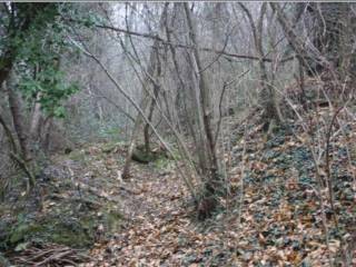 Terreno agricolo all'asta a sotto il monte giovanni xxiii piazza caduti