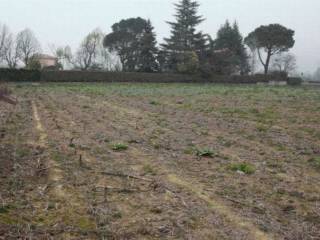 Terreno agricolo all'asta a carvico via conte ottavio morlani, 9