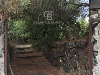 Terreno agricolo in vendita a trecastagni 