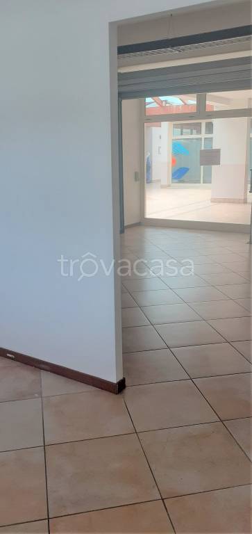 immagine annuncio 2 di 8