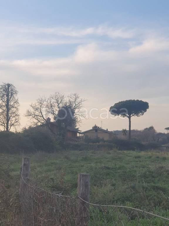immagine annuncio 3 di 7