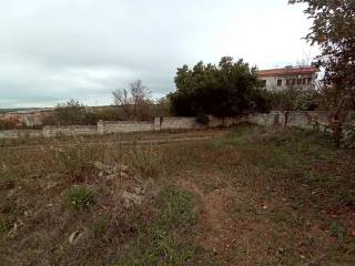 Terreno agricolo in vendita a ossi via monte dolis s.n.c.