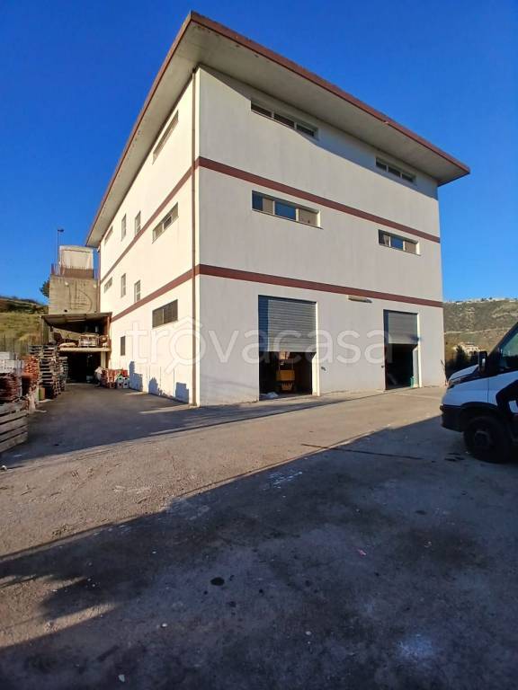 immagine annuncio 6 di 8