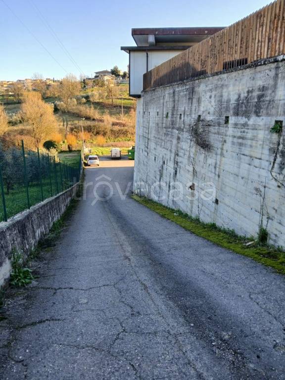 immagine annuncio 5 di 8