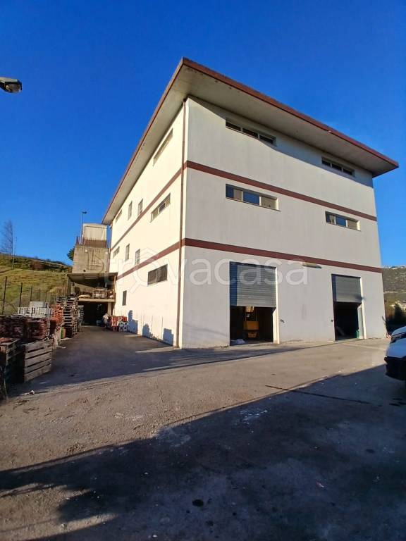 immagine annuncio 7 di 8
