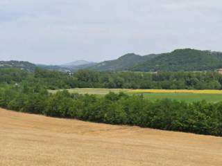 Terreno agricolo all'asta a città di castello vocabolo palazzo di carlo