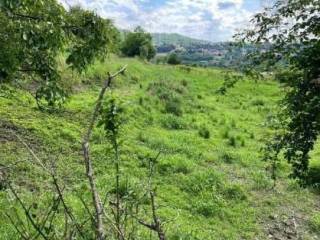 Terreno agricolo all'asta a castello di brianza via s. carlo, snc