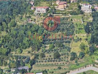 Terreno agricolo in affitto a bergamo via colle dei roccoli