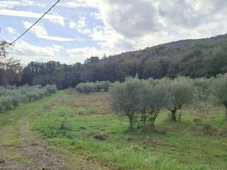 Terreno agricolo in vendita a perugia strada dei cappuccinelli