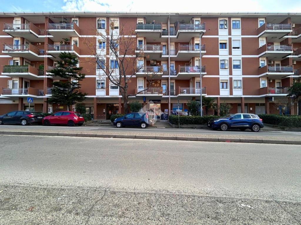 immagine annuncio 11 di 12