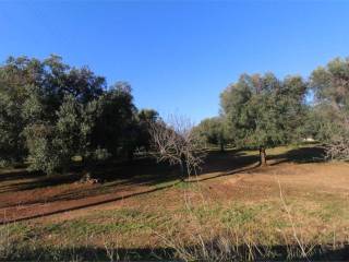 Terreno residenziale in vendita a carovigno 