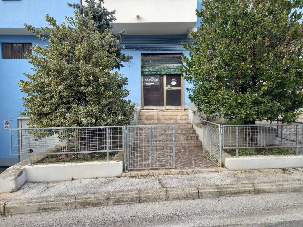 immagine annuncio 3 di 11