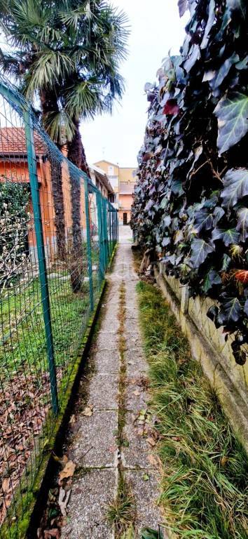 immagine annuncio 5 di 15