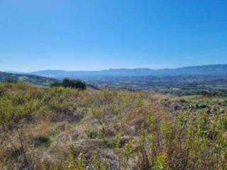 Terreno agricolo all'asta a luzzi contrada valleleotta