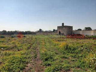 Terreno agricolo in vendita a manduria contrada laciello , snc