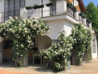 Villa bifamiliare in in affitto da privato a pino torinese via boccardi