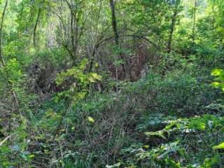 Terreno agricolo all'asta a miane località campea