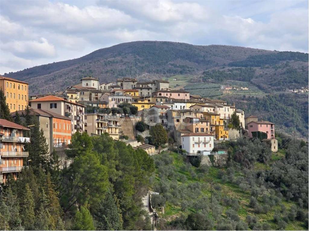 immagine annuncio 6 di 12