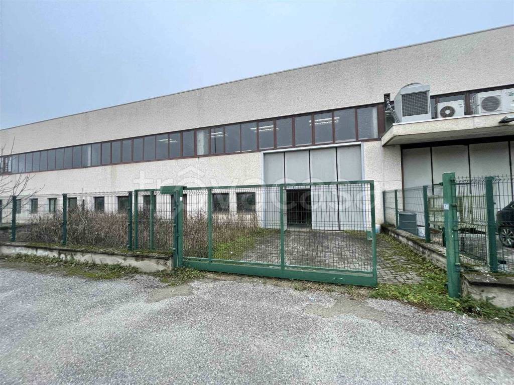 immagine annuncio 10 di 15