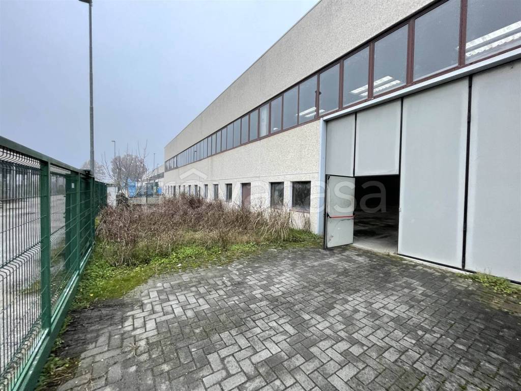 immagine annuncio 11 di 15