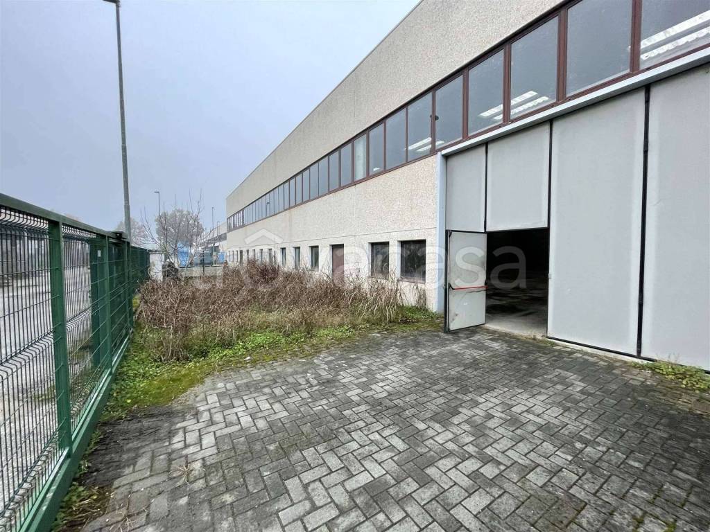 immagine annuncio 12 di 15