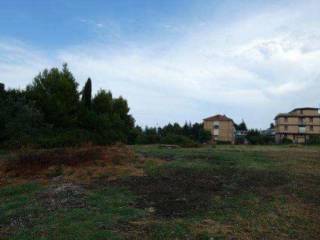 Terreno agricolo all'asta a maltignano localita' caselle, via della stazione