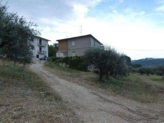 Terreno agricolo all'asta a folignano via s. lucia