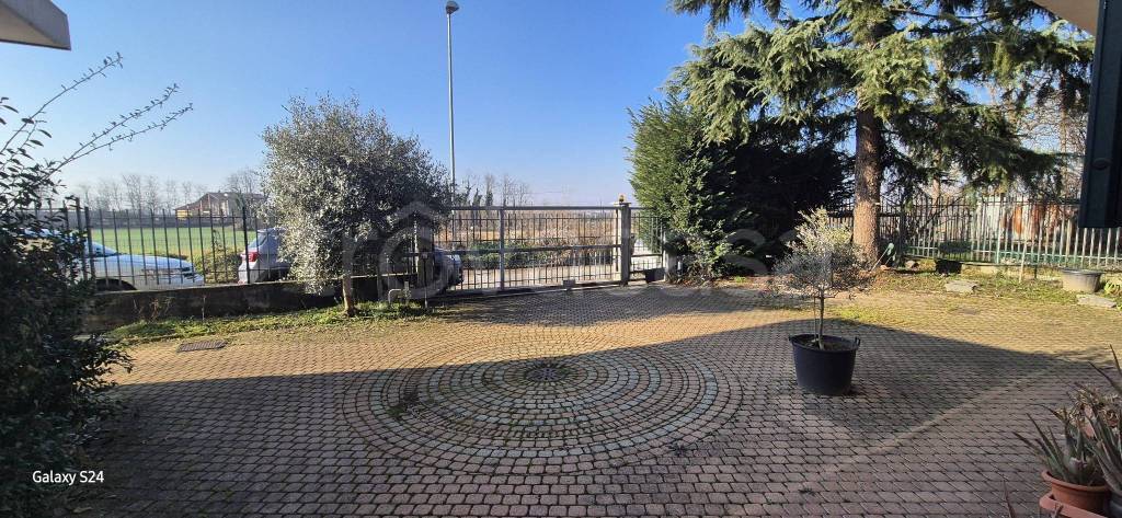 immagine annuncio 4 di 15
