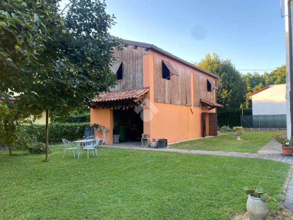 immagine annuncio 11 di 15