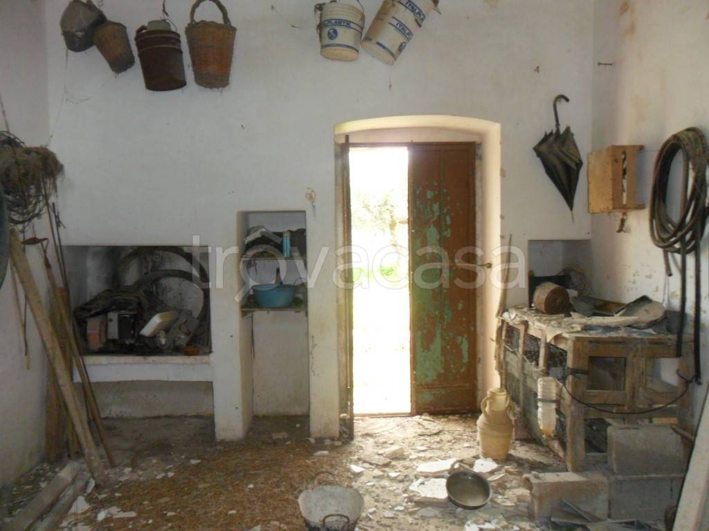 immagine annuncio 3 di 11