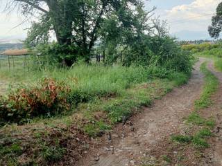 Terreno residenziale in vendita a grottaferrata via sant'andrea, 4