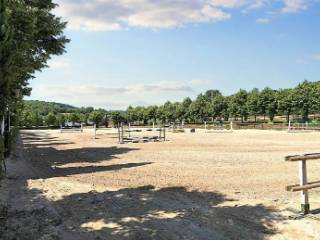 Terreno agricolo all'asta a città di castello sp102