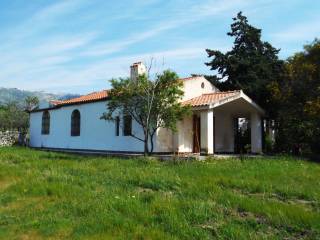 Masseria in in affitto da privato a monte sant'angelo località macchia varcaro, 13