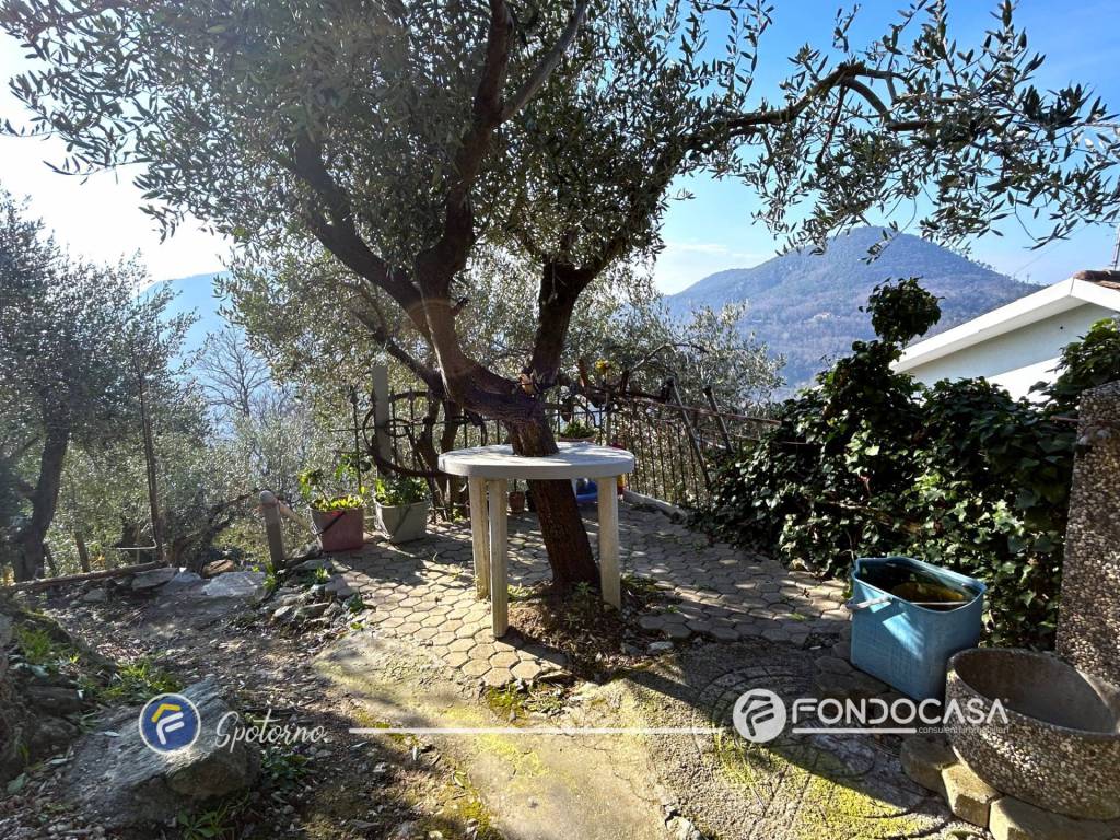 immagine annuncio 10 di 14