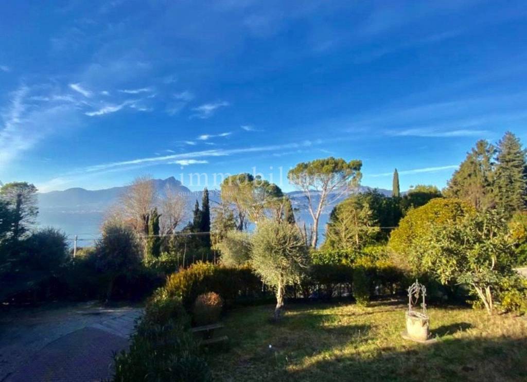 immagine annuncio 11 di 14
