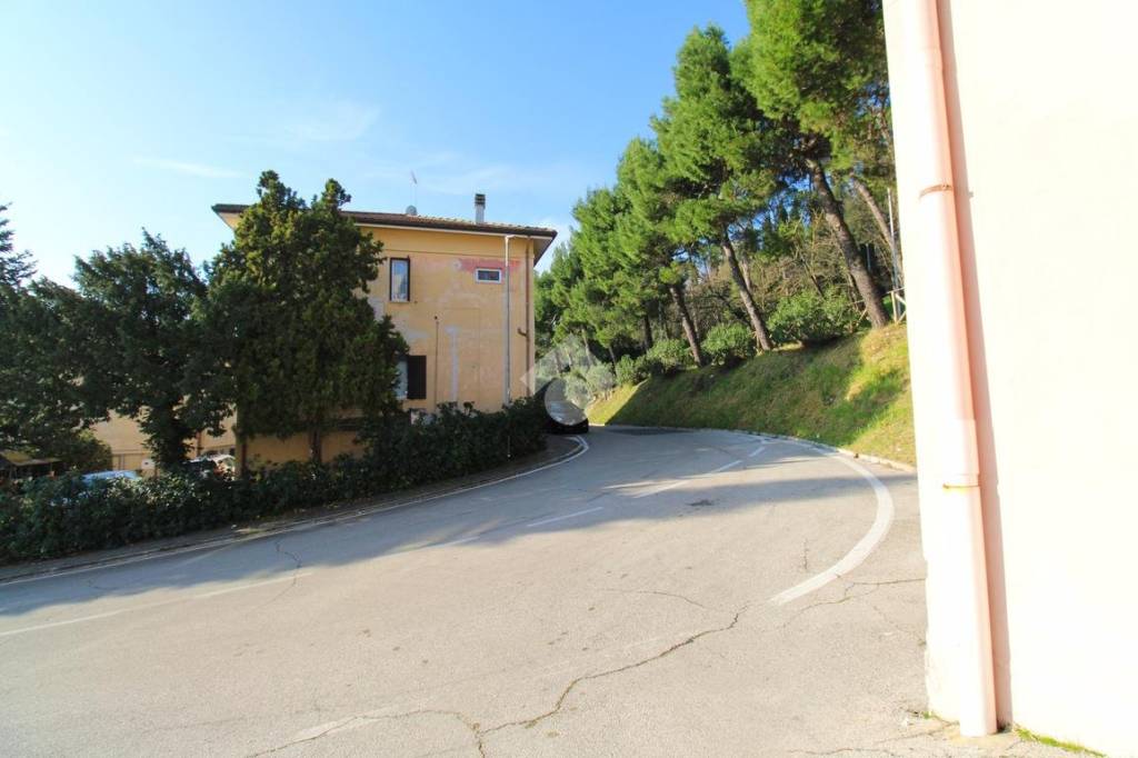 immagine annuncio 4 di 14