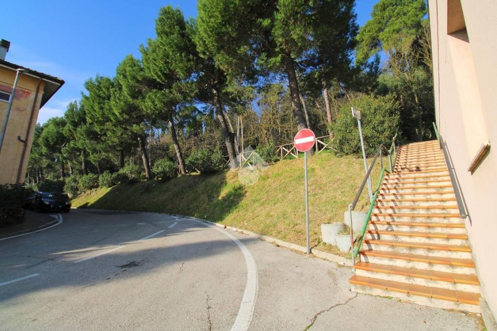 immagine annuncio 12 di 14
