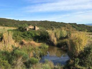 Rustico in vendita a rosignano marittimo 