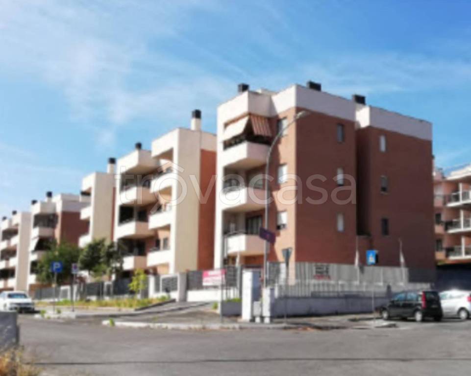 immagine annuncio 4 di 12