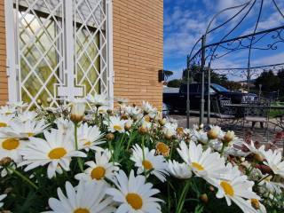 Appartamento in affitto a frascati viale enrico fermi, 20