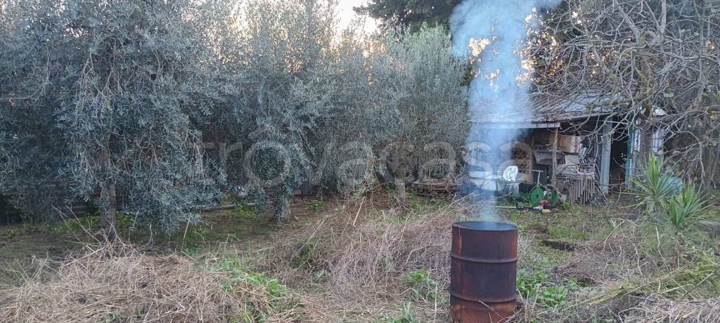 immagine annuncio 1 di 7