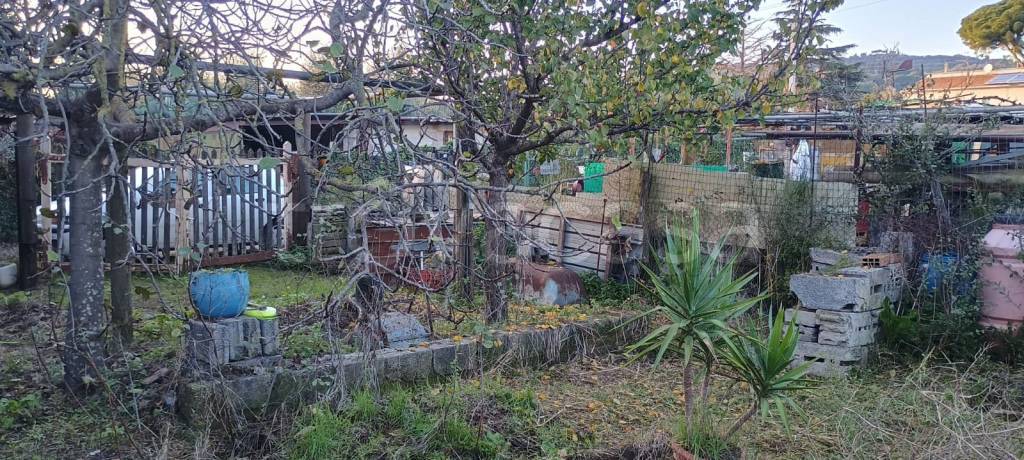 immagine annuncio 3 di 7