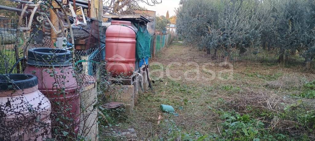 immagine annuncio 4 di 7