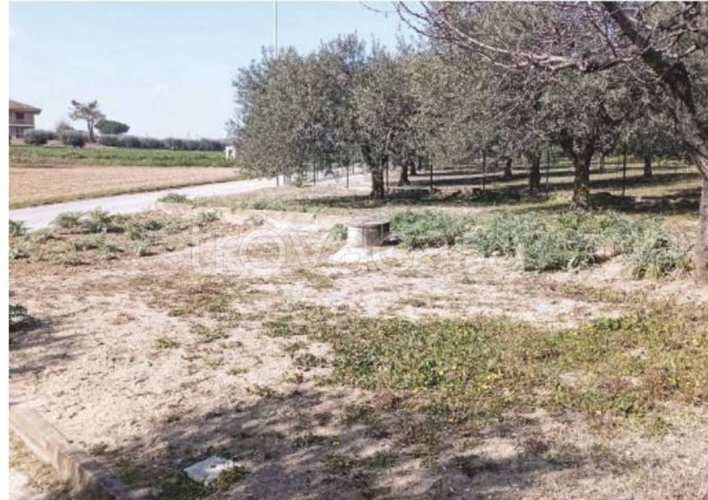 immagine annuncio 9 di 12